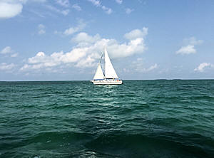 Sailing charters in the Gulf of Mexico