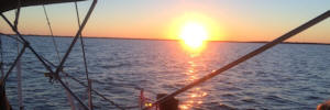 Fun things to do in Tarpon Springs Fl